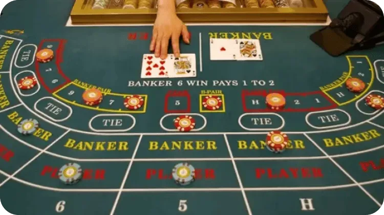 真人百家乐:乐赢LY带您从入门到精通